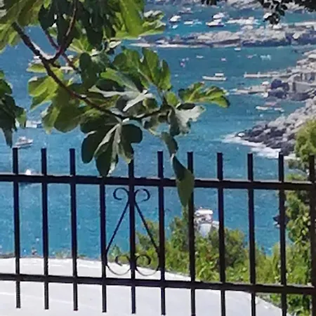 La Perla Marina Vila *